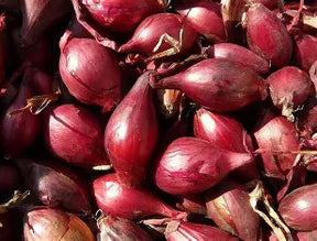 Shallots Red 1Lb