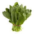 Spinach -1 Bunch