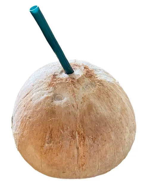 Straw Coconut 1Ea