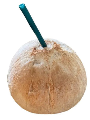 Straw Coconut 1Ea