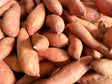 Sweet Potato 1Lb