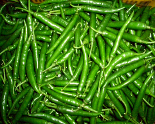 Thai Chilli 0.5 Lb