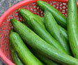 Thai Okra -Galka 1Lb