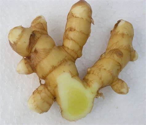 Turmeric (White)/Mango Ginger 0.25Lb
